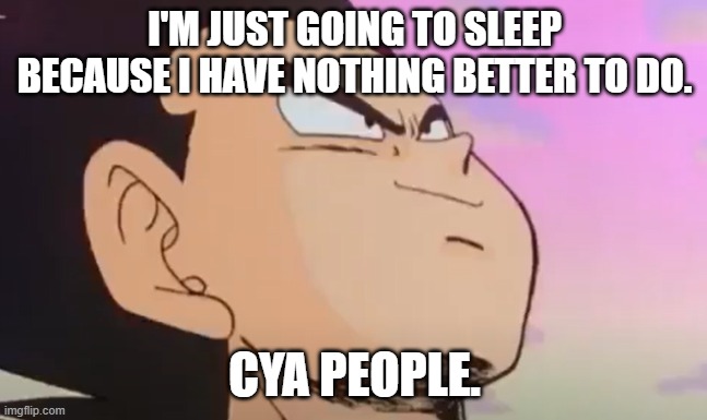 Vegeta Proudly Smiling | I'M JUST GOING TO SLEEP BECAUSE I HAVE NOTHING BETTER TO DO. CYA PEOPLE. | image tagged in vegeta proudly smiling | made w/ Imgflip meme maker