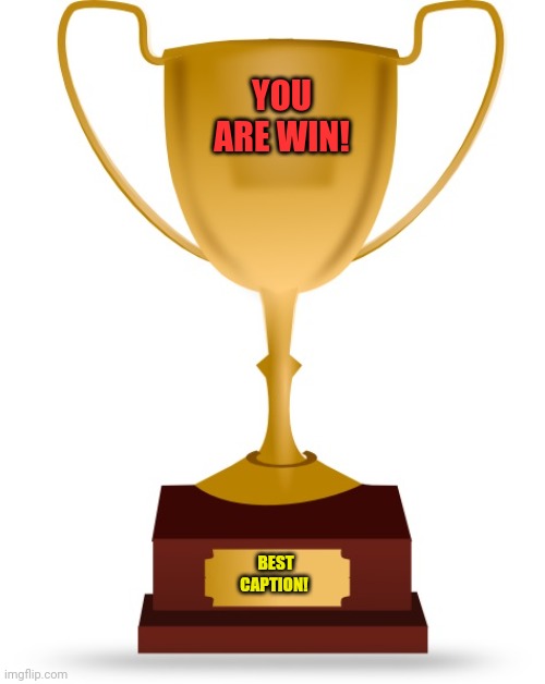 Blank Trophy | BEST CAPTION! YOU ARE WIN! | image tagged in blank trophy | made w/ Imgflip meme maker