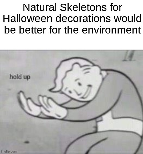 Am I Wrong? | Natural Skeletons for Halloween decorations would be better for the environment | image tagged in fallout hold up with space on the top,halloween | made w/ Imgflip meme maker