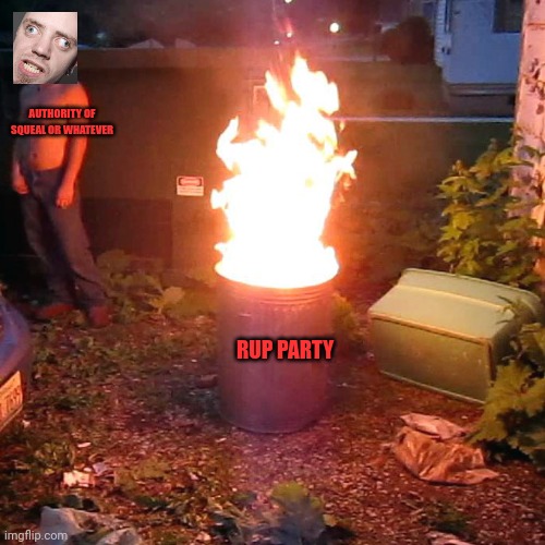 Trash Can Fire | AUTHORITY OF SQUEAL OR WHATEVER RUP PARTY | image tagged in trash can fire | made w/ Imgflip meme maker
