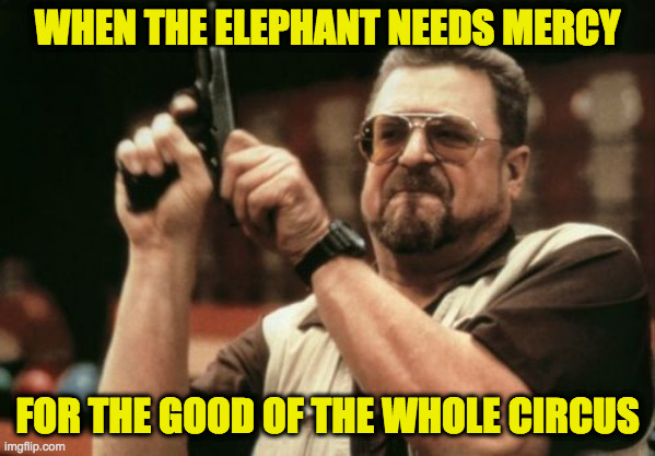 The vet... the vet said all his legs were... broken... from all that baggage  )-; | WHEN THE ELEPHANT NEEDS MERCY; FOR THE GOOD OF THE WHOLE CIRCUS | image tagged in memes,am i the only one around here,circus,euthanasia,excess baggage,it's time | made w/ Imgflip meme maker