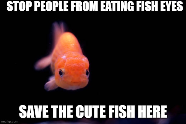 save da fish from Gerquin | STOP PEOPLE FROM EATING FISH EYES; SAVE THE CUTE FISH HERE | image tagged in fishfry,fish,goldfish,fish eyes | made w/ Imgflip meme maker