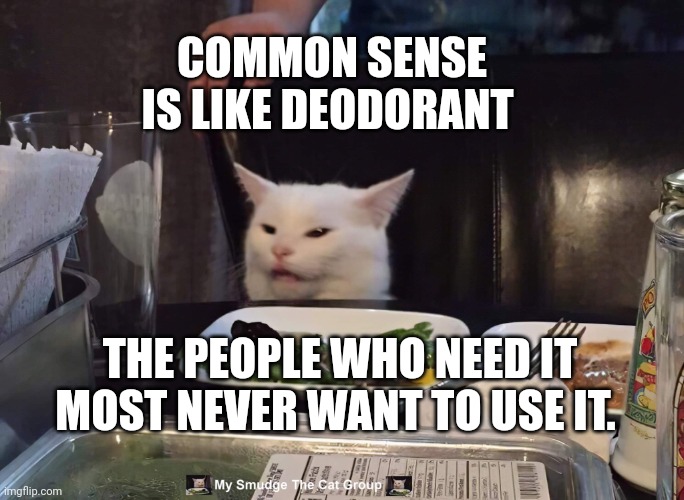  COMMON SENSE IS LIKE DEODORANT; THE PEOPLE WHO NEED IT MOST NEVER WANT TO USE IT. | image tagged in smudge the cat | made w/ Imgflip meme maker