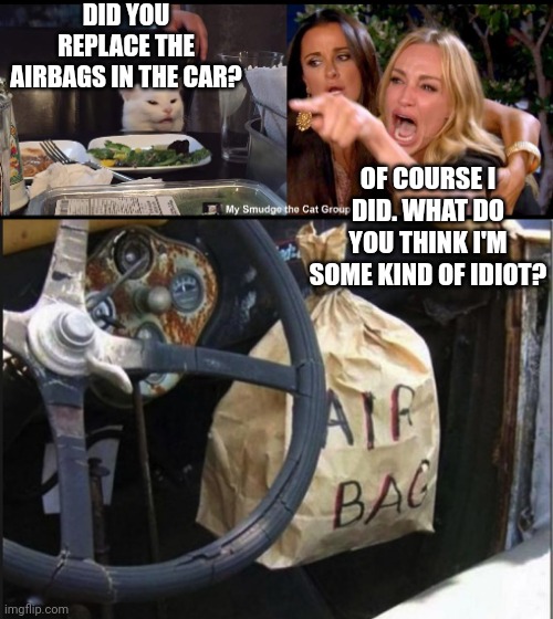 DID YOU REPLACE THE AIRBAGS IN THE CAR? OF COURSE I DID. WHAT DO YOU THINK I'M SOME KIND OF IDIOT? | image tagged in smudge the cat | made w/ Imgflip meme maker