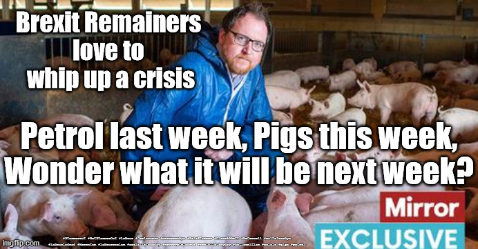 Brexit Crisis - Petrol, Pigs, Food | Brexit Remainers 
love to 
whip up a crisis; Petrol last week, Pigs this week,
Wonder what it will be next week? #Starmerout #GetStarmerOut #Labour #JonLansman #wearecorbyn #KeirStarmer #DianeAbbott #McDonnell #cultofcorbyn #labourisdead #Momentum #labourracism #socialistsunday #nevervotelabour #socialistanyday #Antisemitism #crisis #pigs #petrol | image tagged in petrol pig crisis,starmer new leadership,labourisdead,brexit,remainer remoaner,starmerout getstarmerout | made w/ Imgflip meme maker