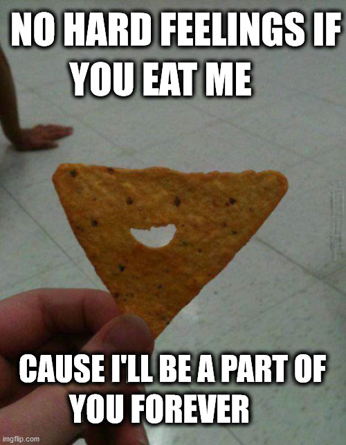 NO HARD FEELINGS IF; YOU EAT ME; CAUSE I'LL BE A PART OF; YOU FOREVER | image tagged in snacks,doritos | made w/ Imgflip meme maker