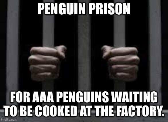 Jail | PENGUIN PRISON; FOR AAA PENGUINS WAITING TO BE COOKED AT THE FACTORY. | image tagged in jail | made w/ Imgflip meme maker