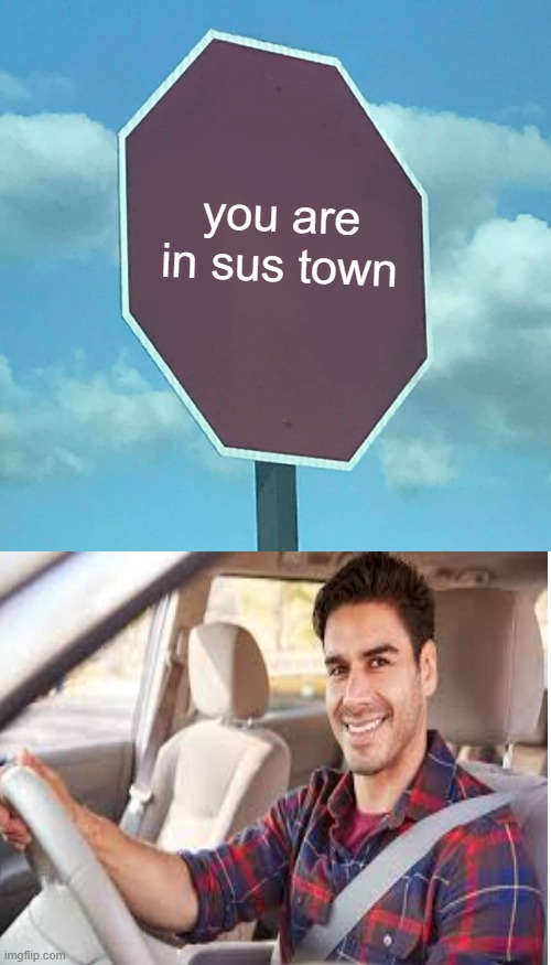 hmmm | you are in sus town | image tagged in sus town,among us,sus,sign,car,meme | made w/ Imgflip meme maker