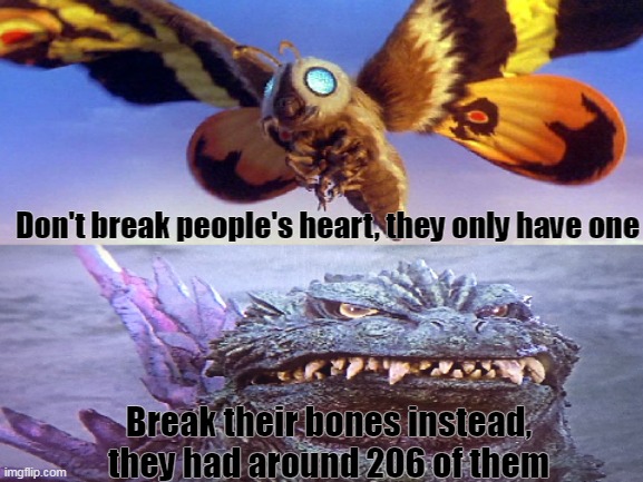 Godzilla and Mothra | Don't break people's heart, they only have one; Break their bones instead, they had around 206 of them | image tagged in memes,godzilla,mothra,kaiju | made w/ Imgflip meme maker