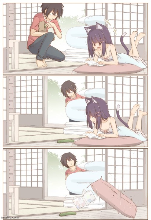 Cat gurl weakness discovered | made w/ Imgflip meme maker