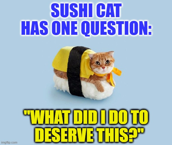 寿司猫   Sushi Cat | SUSHI CAT
HAS ONE QUESTION:; "WHAT DID I DO TO
  DESERVE THIS?" | image tagged in cats,sushi,cat,question,kitty,good question | made w/ Imgflip meme maker