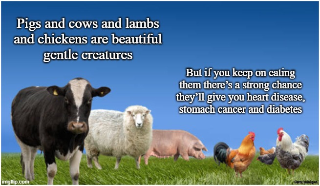 Just Go Vegan |  Pigs and cows and lambs
and chickens are beautiful
gentle creatures; But if you keep on eating
them there’s a strong chance
they’ll give you heart disease,
stomach cancer and diabetes; Getty/minkpen | image tagged in vegan,bacon,hamburger,chicken,diabetes,cancer | made w/ Imgflip meme maker