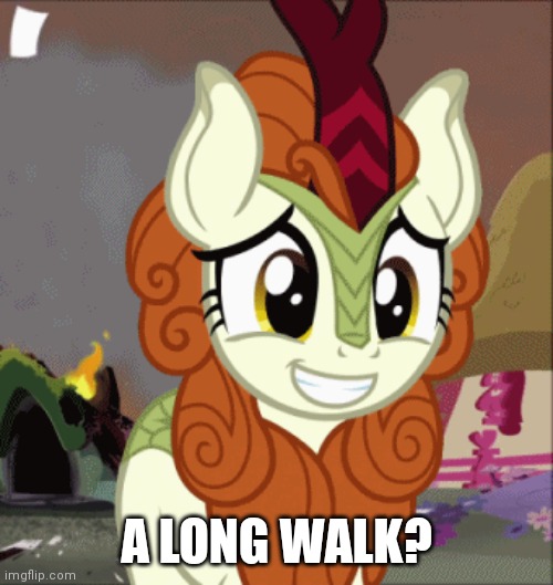 A LONG WALK? | made w/ Imgflip meme maker