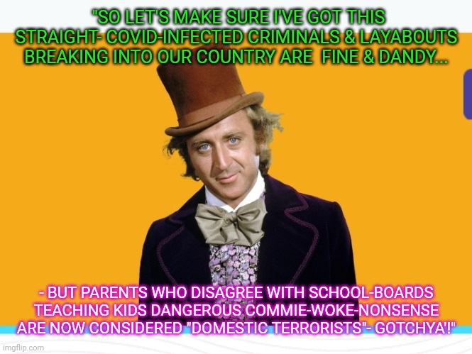 UNHINGED DEMOCRAP WACK-OHs | "SO LET'S MAKE SURE I'VE GOT THIS STRAIGHT- COVID-INFECTED CRIMINALS & LAYABOUTS BREAKING INTO OUR COUNTRY ARE  FINE & DANDY... - BUT PARENTS WHO DISAGREE WITH SCHOOL-BOARDS TEACHING KIDS DANGEROUS COMMIE-WOKE-NONSENSE ARE NOW CONSIDERED "DOMESTIC TERRORISTS"- GOTCHYA'!" | image tagged in stupid liberals | made w/ Imgflip meme maker