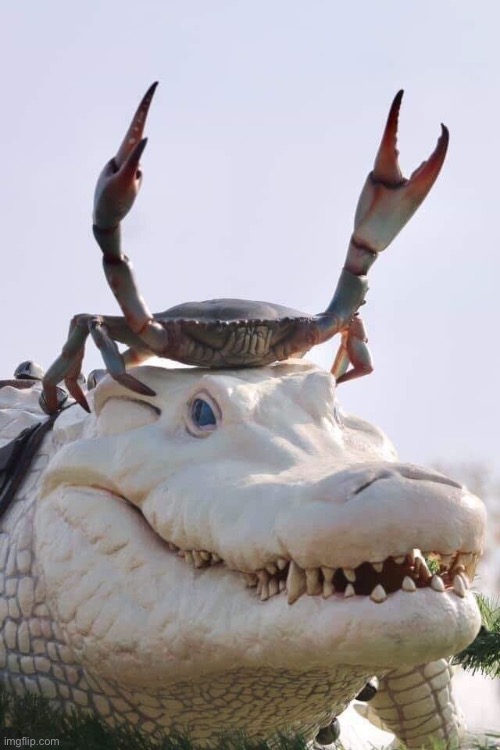 Alligator Crab Template | image tagged in alligator crab template | made w/ Imgflip meme maker