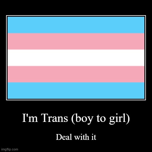 Trans rights | image tagged in funny,demotivationals | made w/ Imgflip demotivational maker