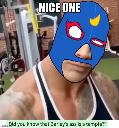 NICE ONE | image tagged in el primo eyebrow | made w/ Imgflip meme maker