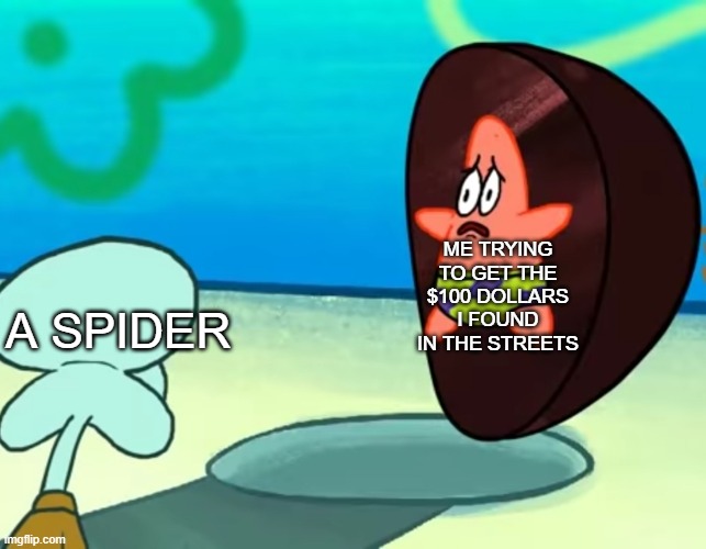 patrick being scared of squidward | ME TRYING TO GET THE $100 DOLLARS I FOUND IN THE STREETS; A SPIDER | image tagged in patrick being scared of squidward,one hundred dollar,spider,patrick,squidward,memes | made w/ Imgflip meme maker