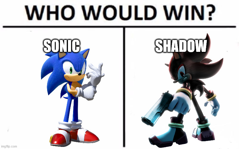 battle of the century | SONIC; SHADOW | image tagged in memes,who would win | made w/ Imgflip meme maker