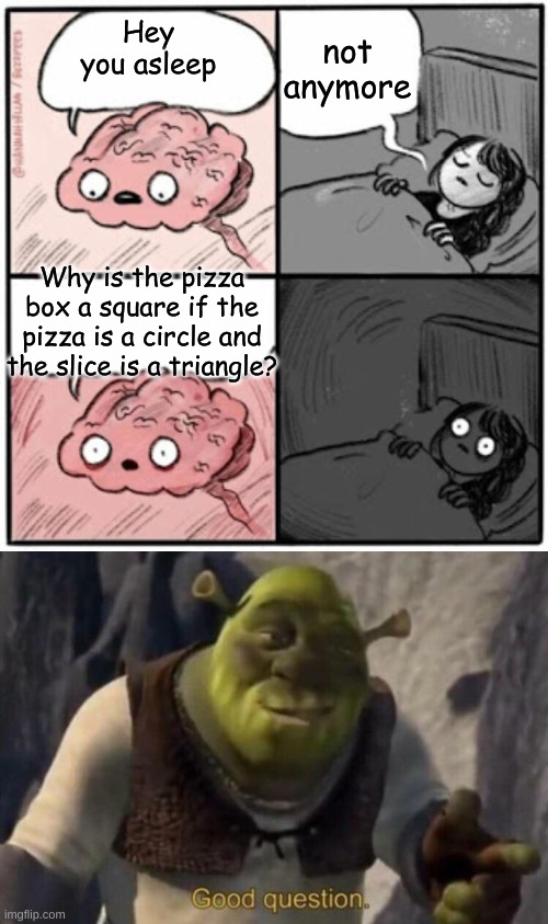 MY BRAIN IT HURTS |  not anymore; Hey you asleep; Why is the pizza box a square if the pizza is a circle and the slice is a triangle? | image tagged in brain before sleep,shrek good question,question,funny memes,memes,mysteries | made w/ Imgflip meme maker