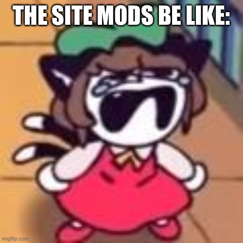 Cry about it | THE SITE MODS BE LIKE: | image tagged in cry about it | made w/ Imgflip meme maker