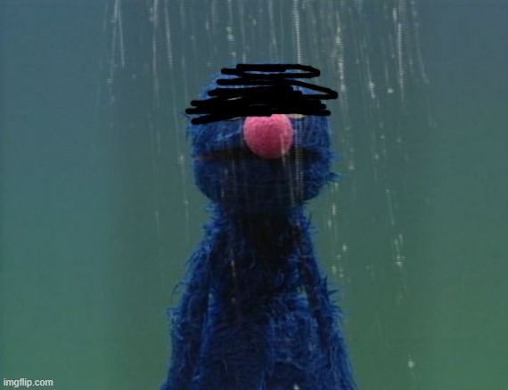 Grover in the Rain | image tagged in grover in the rain | made w/ Imgflip meme maker