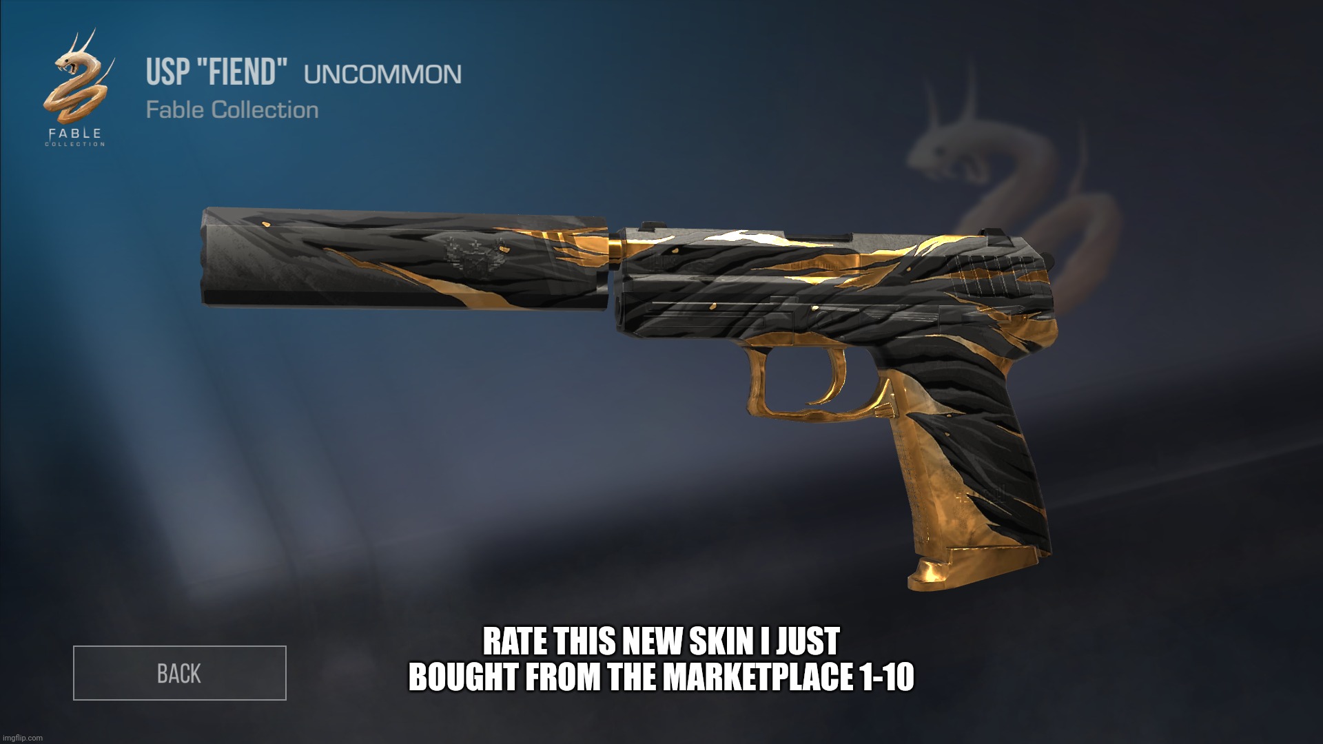 RATE THIS NEW SKIN I JUST BOUGHT FROM THE MARKETPLACE 1-10 | made w/ Imgflip meme maker