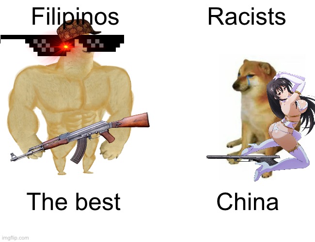 Buff Doge vs. Cheems Meme | Filipinos; Racists; The best; China | image tagged in memes,buff doge vs cheems | made w/ Imgflip meme maker