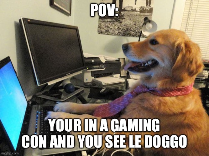 Gaming dog | POV:; YOUR IN A GAMING CON AND YOU SEE LE DOGGO | image tagged in gaming dog | made w/ Imgflip meme maker