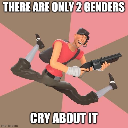 TF2 Troll Scout | THERE ARE ONLY 2 GENDERS; CRY ABOUT IT | image tagged in tf2 troll scout | made w/ Imgflip meme maker