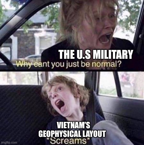 * angy freedom* | THE U.S MILITARY; VIETNAM’S GEOPHYSICAL LAYOUT | image tagged in why can't you just be normal | made w/ Imgflip meme maker