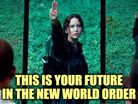 Hunger Games 2 | THIS IS YOUR FUTURE IN THE NEW WORLD ORDER | image tagged in hunger games 2 | made w/ Imgflip meme maker