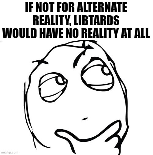 Question Rage Face Meme | IF NOT FOR ALTERNATE REALITY, LIBTARDS WOULD HAVE NO REALITY AT ALL | image tagged in memes,question rage face | made w/ Imgflip meme maker