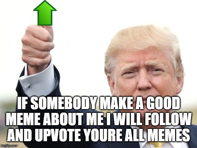 doititsadeal | IF SOMEBODY MAKE A GOOD MEME ABOUT ME I WILL FOLLOW AND UPVOTE YOURE ALL MEMES | image tagged in trump upvote | made w/ Imgflip meme maker