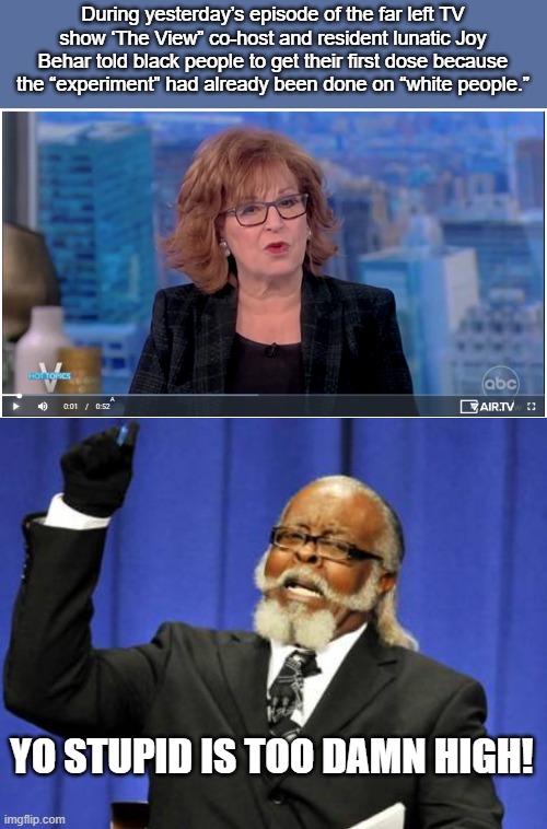 No. | During yesterday’s episode of the far left TV show ‘The View” co-host and resident lunatic Joy Behar told black people to get their first dose because the “experiment” had already been done on “white people.”; YO STUPID IS TOO DAMN HIGH! | image tagged in memes,too damn high | made w/ Imgflip meme maker