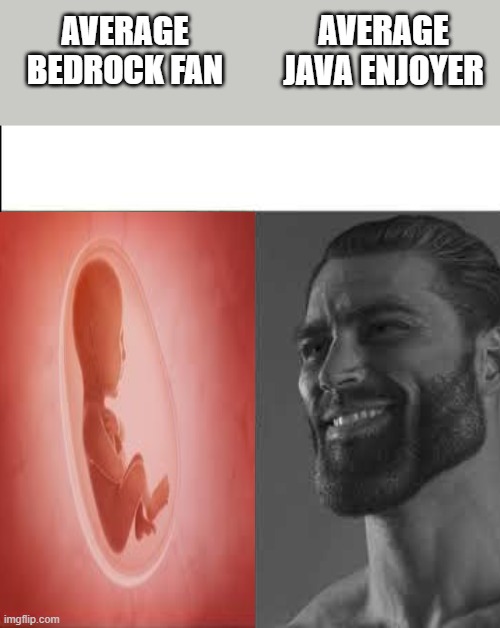 Boi why you lookin at the title | AVERAGE JAVA ENJOYER; AVERAGE BEDROCK FAN | image tagged in giga chad template | made w/ Imgflip meme maker