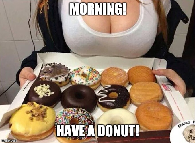 Donuts & Boobs | MORNING! HAVE A DONUT! | image tagged in donuts boobs | made w/ Imgflip meme maker