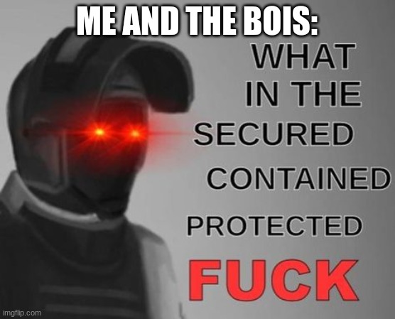 What in the Secured Contained Protected FUCK | ME AND THE BOIS: | image tagged in what in the secured contained protected fuck | made w/ Imgflip meme maker