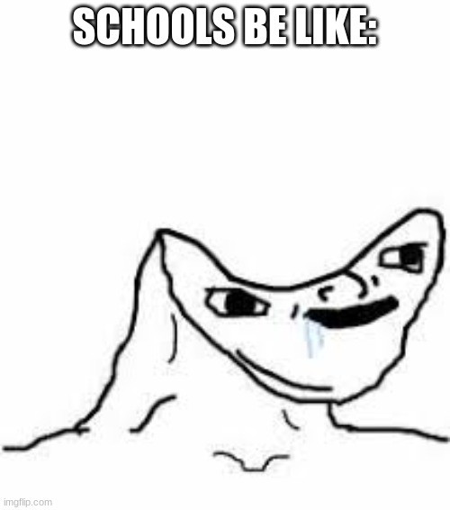 Head smashed in meme | SCHOOLS BE LIKE: | image tagged in head smashed in meme | made w/ Imgflip meme maker