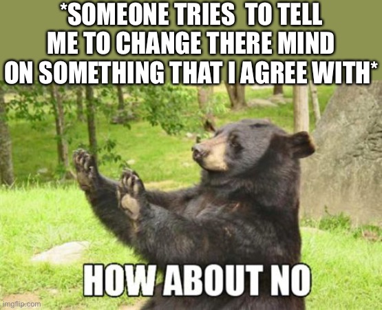 How about no | *SOMEONE TRIES  TO TELL ME TO CHANGE THERE MIND ON SOMETHING THAT I AGREE WITH* | image tagged in memes,how about no bear | made w/ Imgflip meme maker
