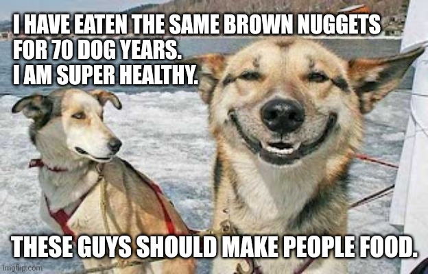 i also eat poo but that's probably not important | I HAVE EATEN THE SAME BROWN NUGGETS 
FOR 70 DOG YEARS.  
I AM SUPER HEALTHY. THESE GUYS SHOULD MAKE PEOPLE FOOD. | image tagged in memes,original stoner dog | made w/ Imgflip meme maker