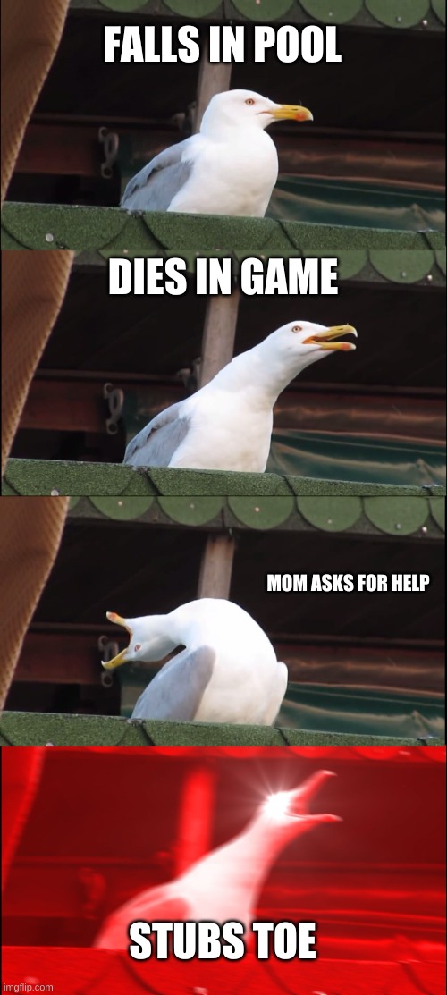 Inhaling Seagull |  FALLS IN POOL; DIES IN GAME; MOM ASKS FOR HELP; STUBS TOE | image tagged in memes,inhaling seagull | made w/ Imgflip meme maker
