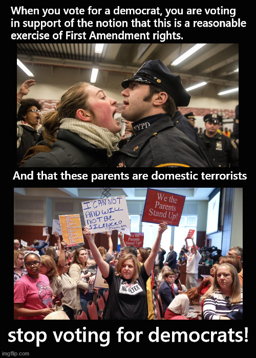 stop voting for democrats! | When you vote for a democrat, you are voting 
in support of the notion that this is a reasonable
exercise of First Amendment rights. And that these parents are domestic terrorists; stop voting for democrats! | image tagged in first amendment | made w/ Imgflip meme maker