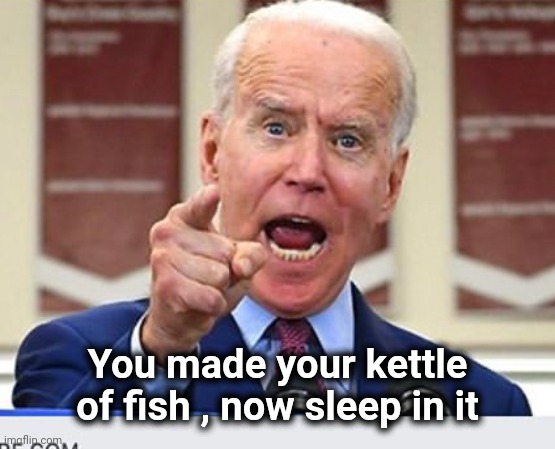 Joe Biden no malarkey | You made your kettle of fish , now sleep in it | image tagged in joe biden no malarkey | made w/ Imgflip meme maker