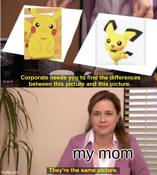 They're The Same Picture | my mom | image tagged in memes,they're the same picture | made w/ Imgflip meme maker