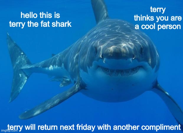 Straight White Shark | terry thinks you are a cool person; hello this is terry the fat shark; terry will return next friday with another compliment | image tagged in straight white shark,funny,memes,compliment,sharks | made w/ Imgflip meme maker