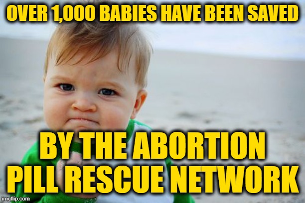And Now, a Political Service Announcement | OVER 1,000 BABIES HAVE BEEN SAVED; BY THE ABORTION PILL RESCUE NETWORK | image tagged in memes,success kid original | made w/ Imgflip meme maker