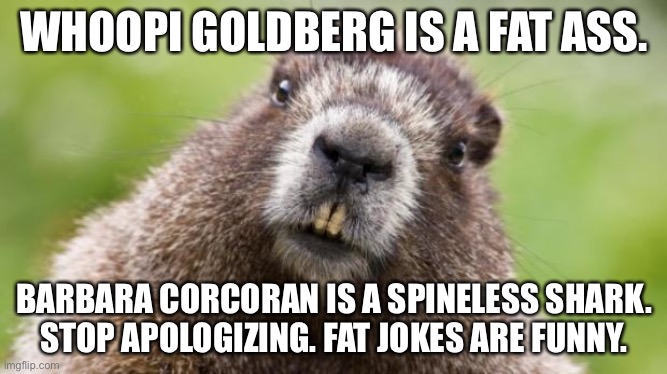 The Woke View is killing comedy |  WHOOPI GOLDBERG IS A FAT ASS. BARBARA CORCORAN IS A SPINELESS SHARK.
STOP APOLOGIZING. FAT JOKES ARE FUNNY. | image tagged in mr beaver,memes,shark tank,whoopi goldberg,fat,woke | made w/ Imgflip meme maker