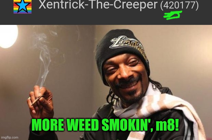 Sum more w33d, w00t | MORE WEED SMOKIN', m8! | image tagged in snoop dogg,420,420 blaze it,weed,smoke weed everyday,smoking weed | made w/ Imgflip meme maker