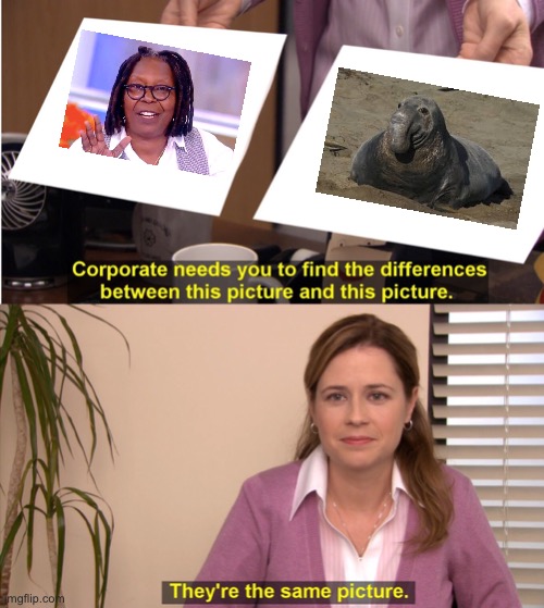 This is an insult...to the elephant seal. | image tagged in memes,they're the same picture,whoopi goldberg,elephant seal,fat,woke | made w/ Imgflip meme maker